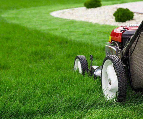 mowing closeup