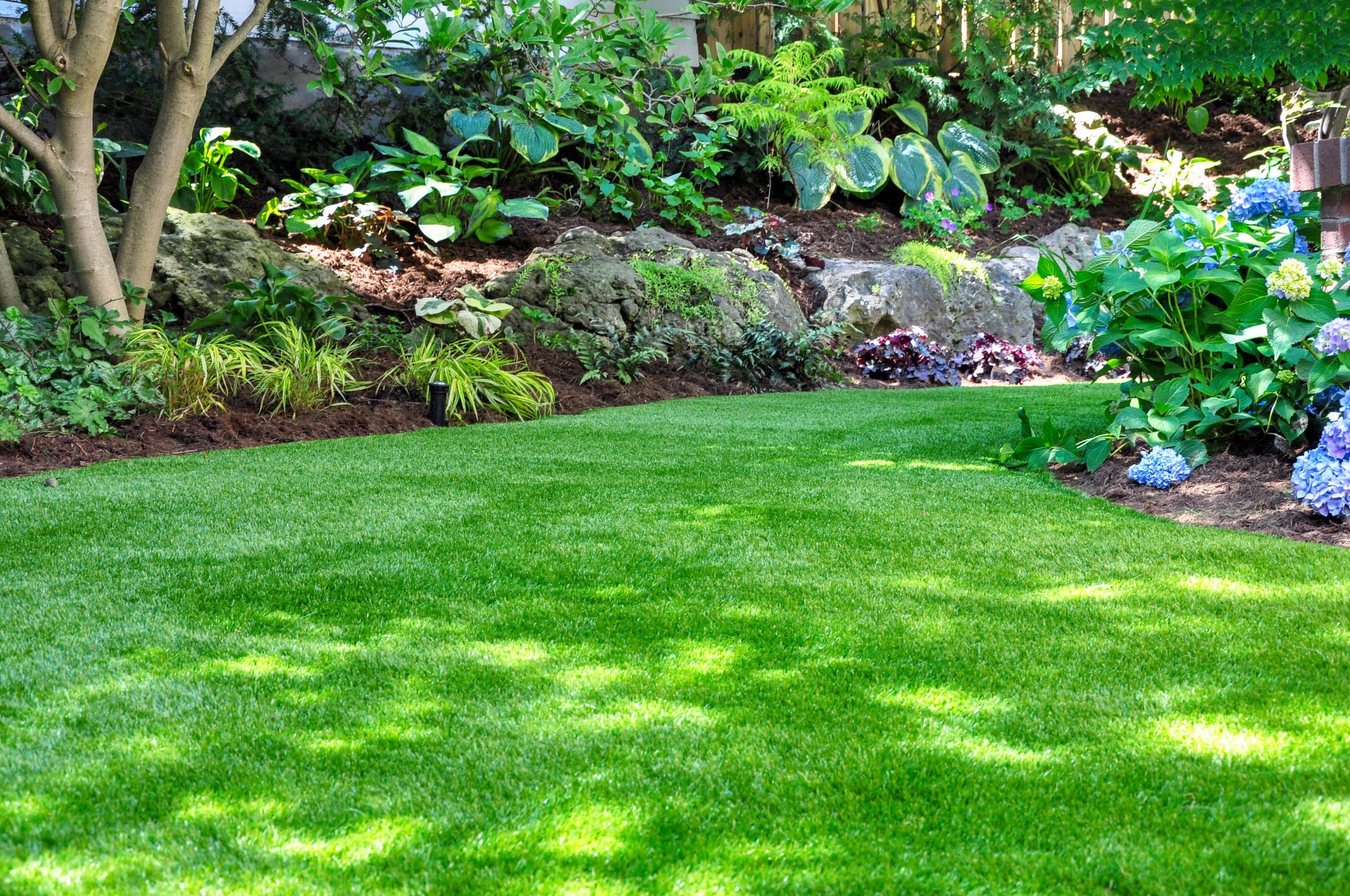 This,Beautiful,Backyard,Woodland,Garden,Features,A,Maintenance,Free,Lawn