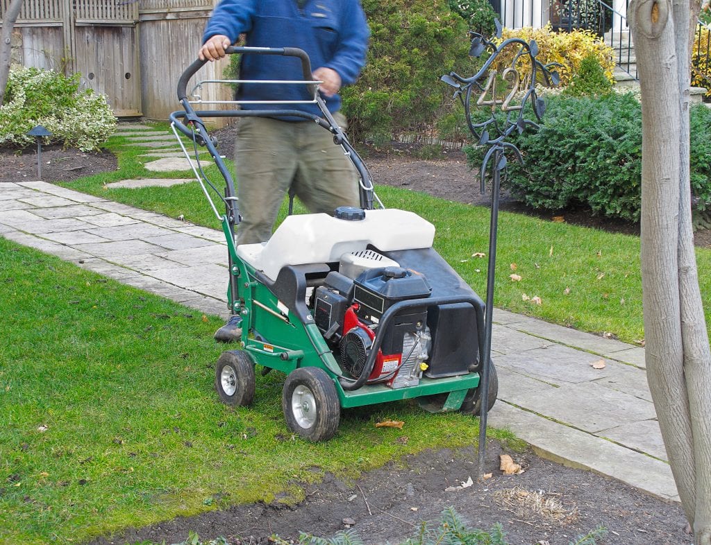 dealing with compaction in lawns