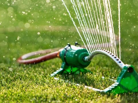 sprinkler