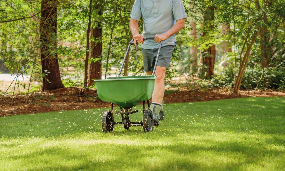 Man,Fertilizing,And,Seeding,Residential,Backyard,Lawn,With,Manual,Grass