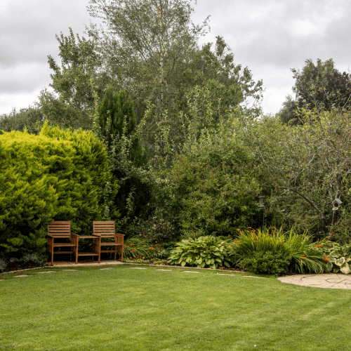 expert-garden-maintenance-for-healthier-greener-lawns