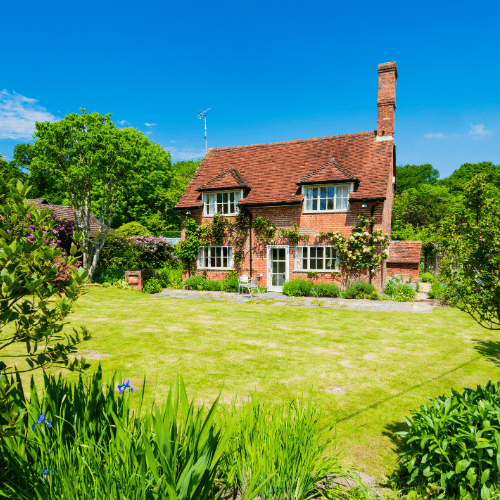 maintaining-your-garden-to-the-highest-standards