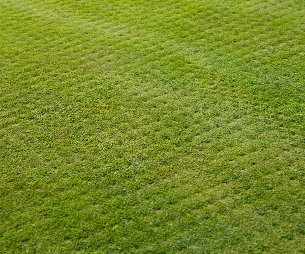 aeration-and-scarification-the-secret-to-a-healthier-greener-lawn