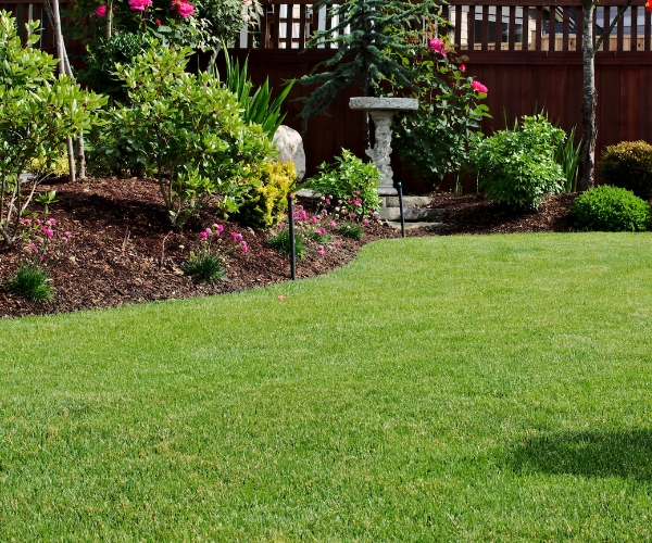 from-tired-to-thriving-the-benefits-of-professional-lawn-renovation-services