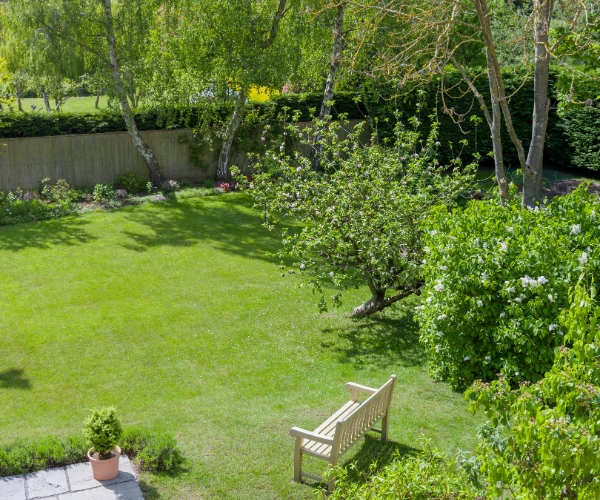 how-a-lawn-health-check-can-transform-your-garden