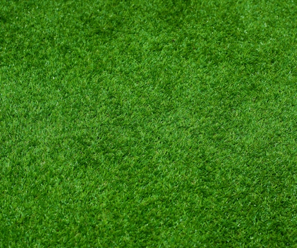 how-seasonal-lawn-care-can-keep-your-grass-healthy-all-year-round