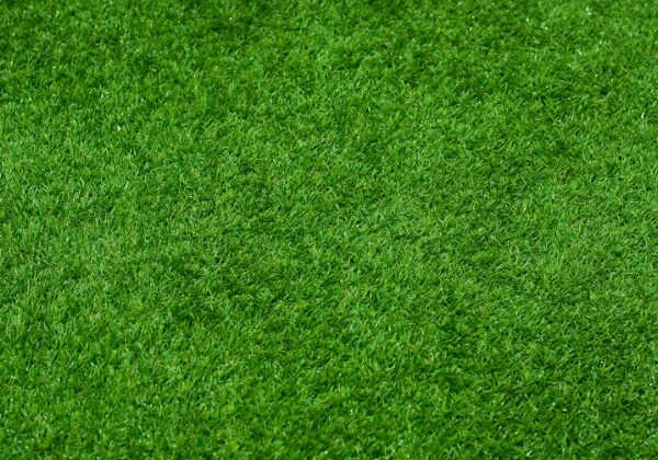 how-seasonal-lawn-care-can-keep-your-grass-healthy-all-year-round