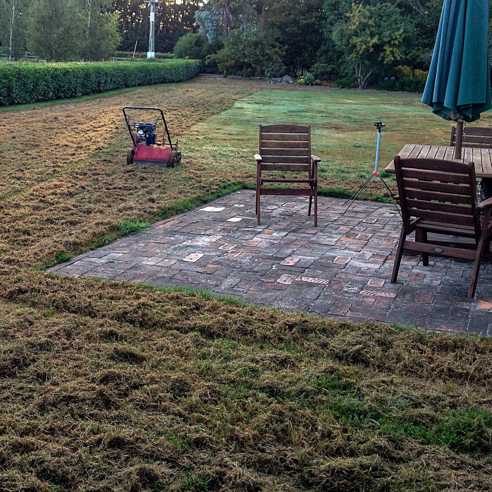 Lawn Scarification