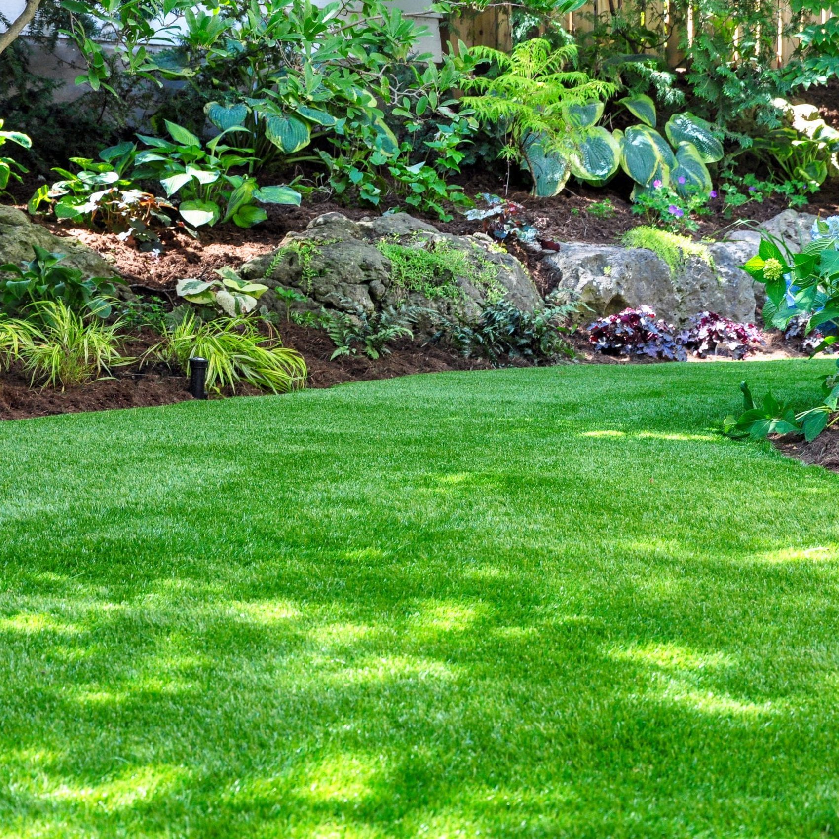 This,Beautiful,Backyard,Woodland,Garden,Features,A,Maintenance,Free,Lawn