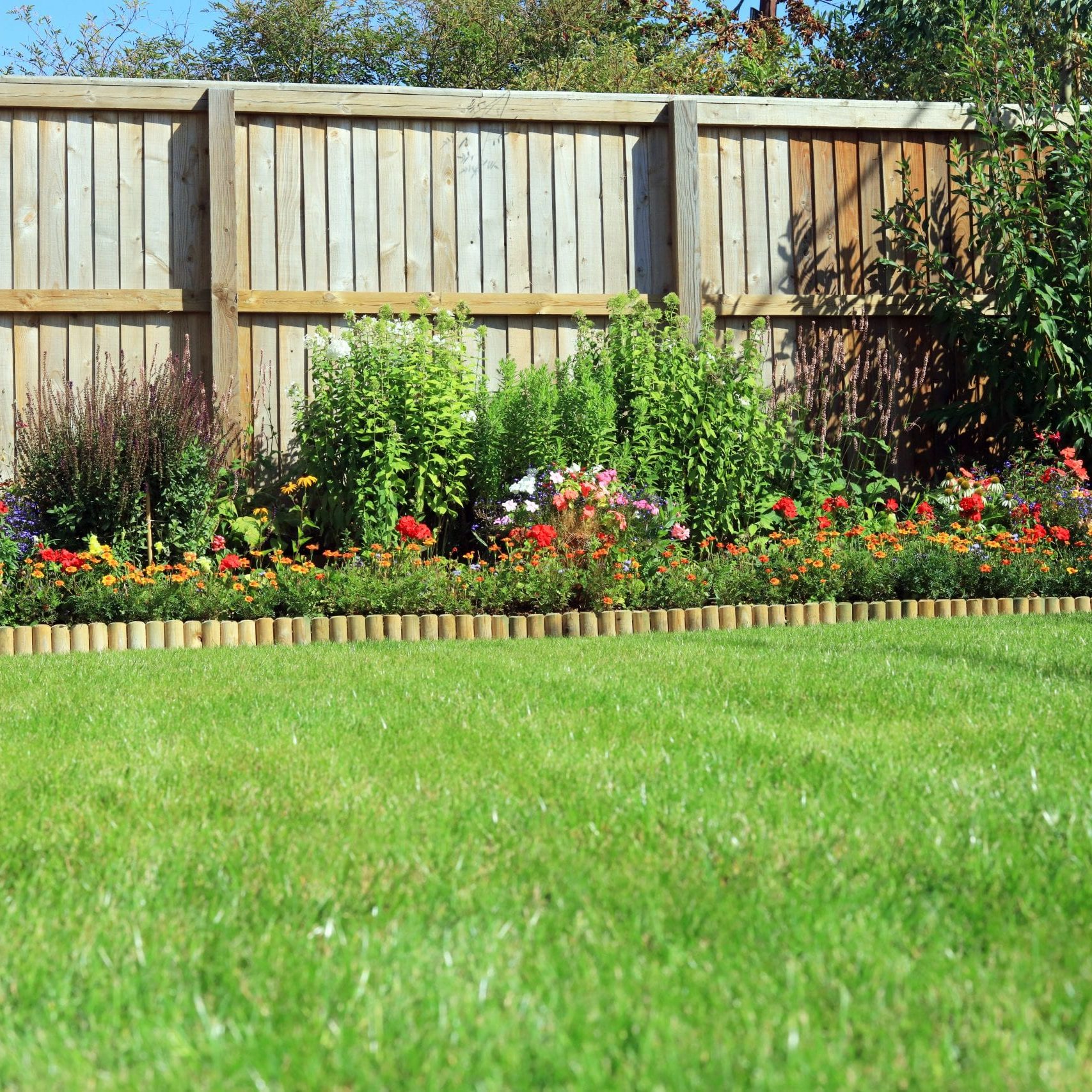 Shrubs,And,Flowers,In,A,Border,Surrounded,By,A,Wooden