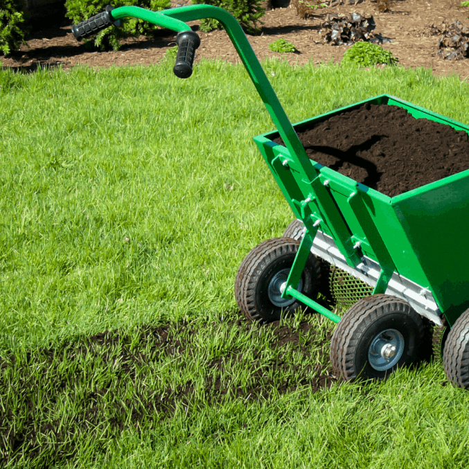 top dressing