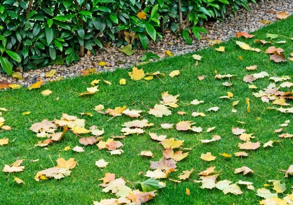 why-lawn-care-shouldnt-stop-when-the-colder-months-arrive